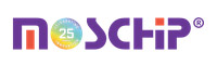 example image